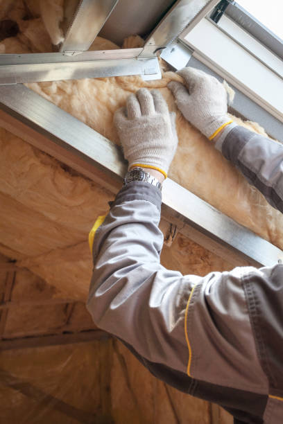 Best Commercial Insulation Services  in USA